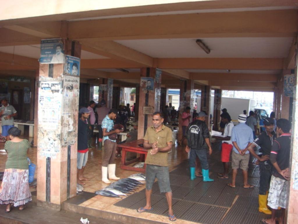 Randi Homestay In Negombo Extérieur photo
